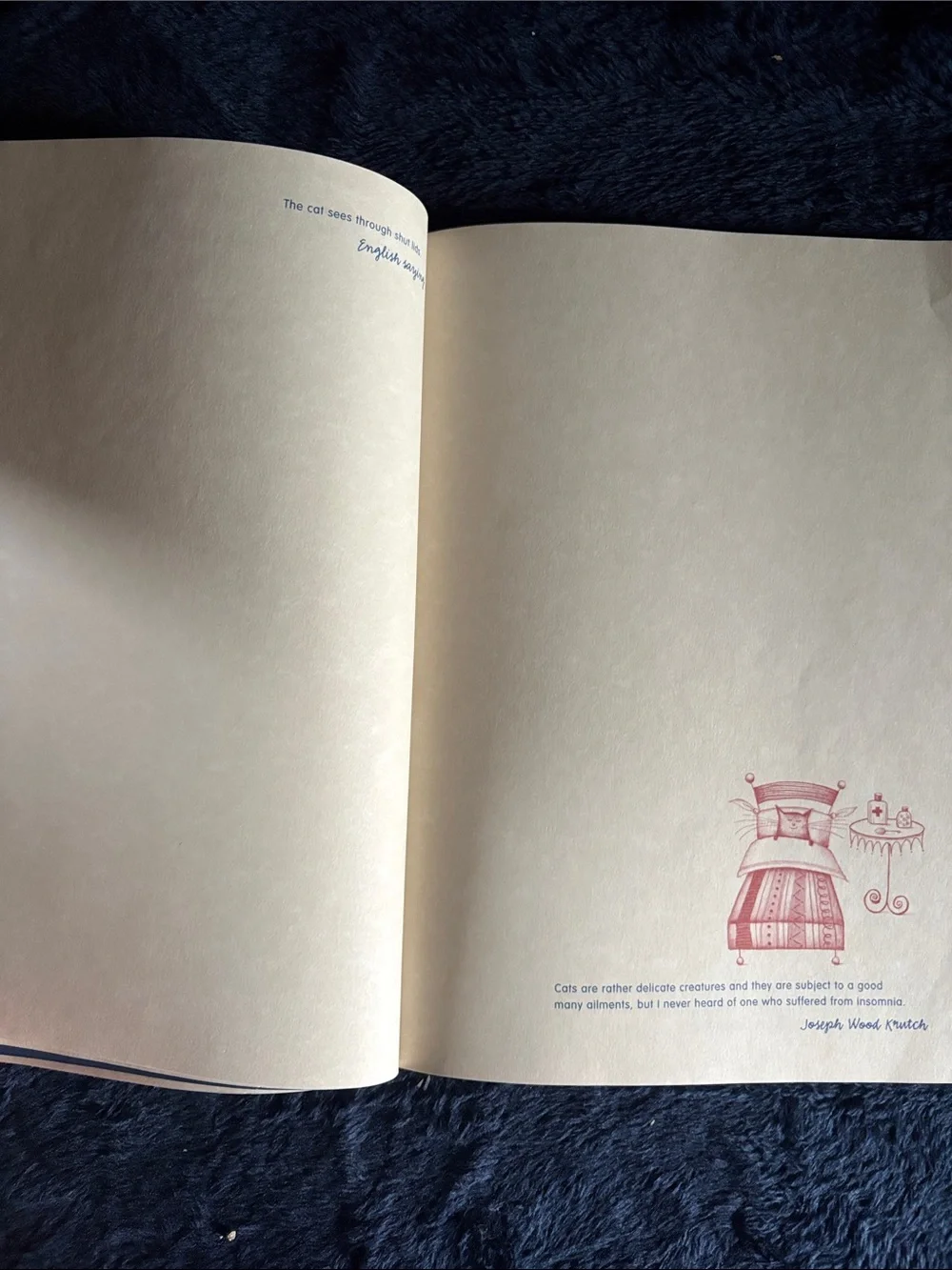 N/A brown illustrated